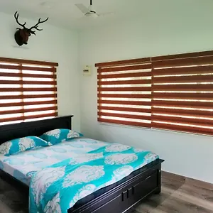Noah's Nest Tree House Thekkady